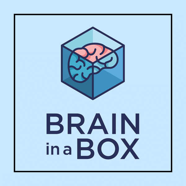 Brain in a Box, Business Systemisation in One Week